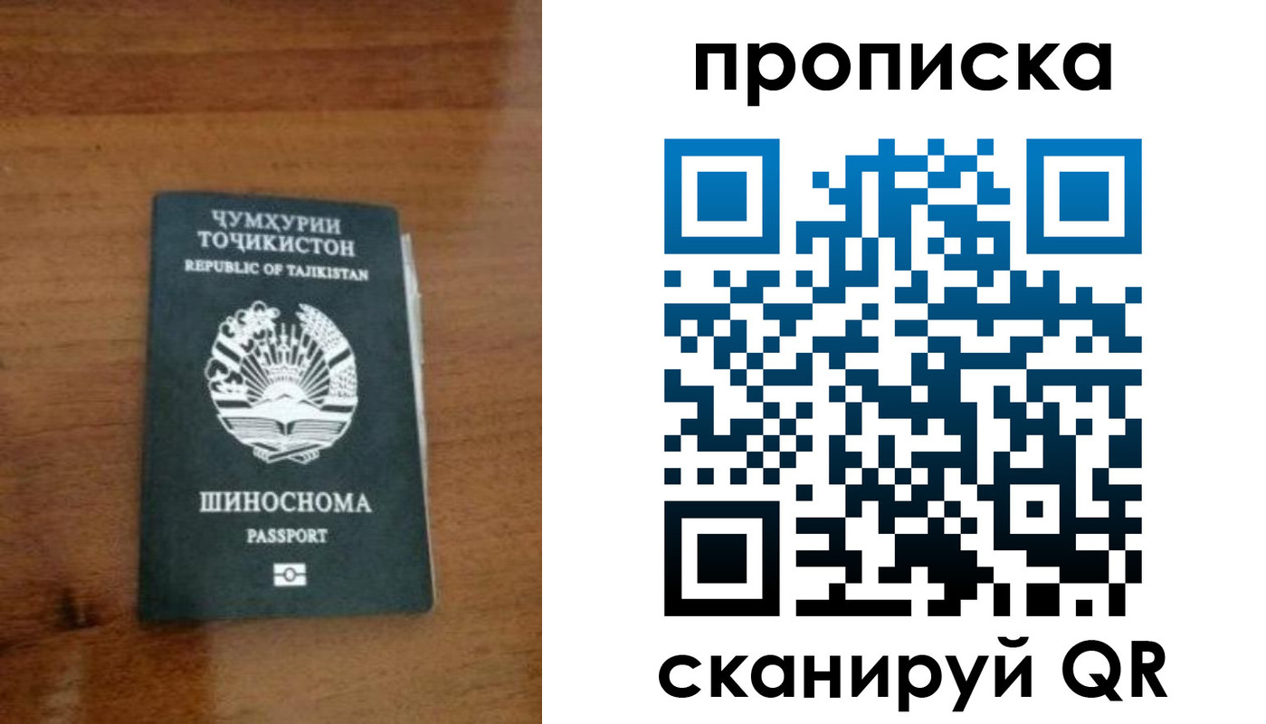 прописка законно в Купино
