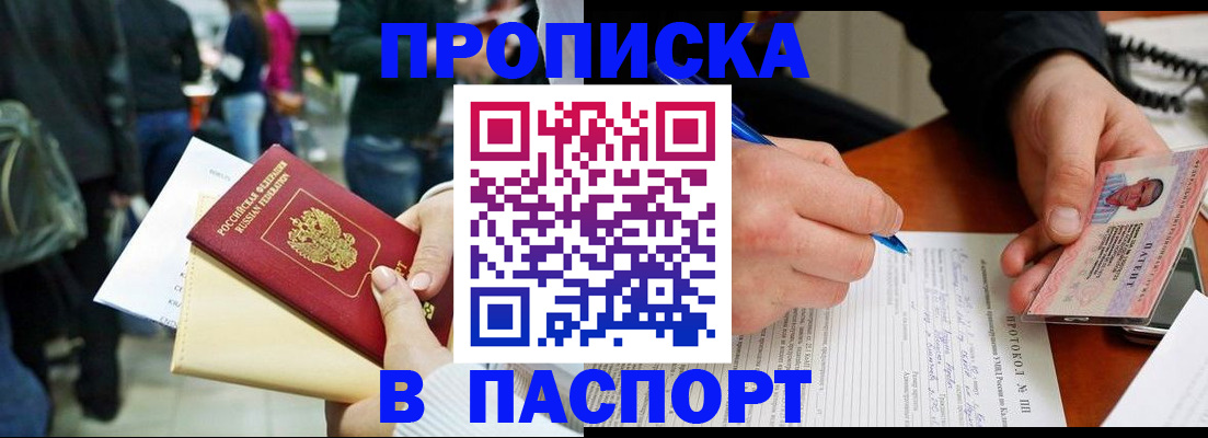 прописка в Купино
